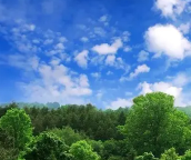 ​雲联环境携手全球合作伙伴共同宣布推进绿色能源项目，践行环保承诺