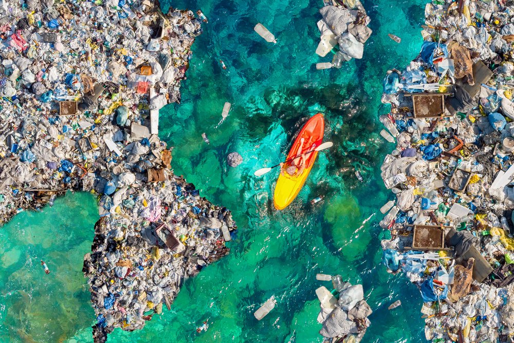 海洋塑料垃圾是沿海生物的庇护所雲联